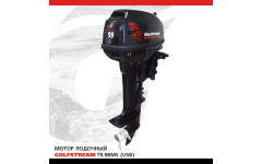 Мотор лодочный GOLFSTREAM T9.9BMS (USB) Мотор лодочный GOLFSTREAM T9.9BMS (USB)