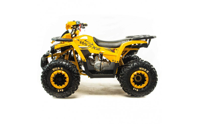 Квадроцикл 125 WILD X (Машинокомплект)
