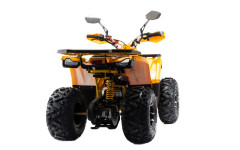 Квадроцикл 125 WILD X PRO А желтый (Машинокомплект) Квадроцикл 125 WILD X PRO А желтый (Машинокомплект)