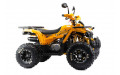 Квадроцикл 125 WILD X PRO А желтый (Машинокомплект)