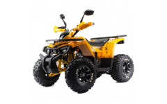 Квадроцикл 125 WILD X PRO А желтый (Машинокомплект) Квадроцикл 125 WILD X PRO А желтый (Машинокомплект)