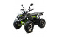 Квадроцикл 125 WILD X PRO (Машинокомплект)