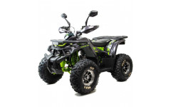 Квадроцикл 125 WILD X PRO (Машинокомплект)