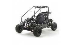 Квадроцикл Багги GOKART 125 (Машинокомплект) Квадроцикл Багги GOKART 125 (Машинокомплект)