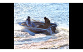 Wyatboat-390 P