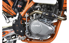 Мотоцикл Кросс Moto Apollo M5 300 EFI (175FMN PR5)