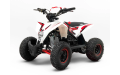 Детский квадроцикл MOTAX GEKKON E1300