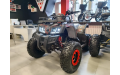 Квадроцикл GRIZLIK T200