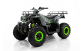 Квадроцикл GRIZLIK T200