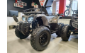 Квадроцикл GRIZLIK T200