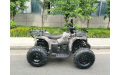 Квадроцикл GRIZLIK T200 LUX