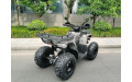 Квадроцикл GRIZLIK T200 LUX
