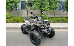 Квадроцикл MOTAX ATV Grizlik T200 LUX
