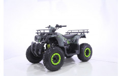Квадроцикл MOTAX ATV Grizlik T200 LUX