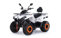Квадроцикл MOTAX Grizlik 200 Ultra