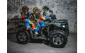 Квадроцикл MOTAX Grizlik 300 cc