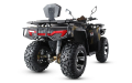 Квадроцикл MOTAX Grizlik 300 cc