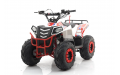 Квадроцикл MOTAX GRIZLIK A110