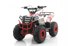 Квадроцикл MOTAX GRIZLIK A110