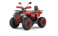 Квадроцикл WELS THUNDER Trail 125 PRO
