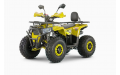 Квадроцикл WELS THUNDER Trail 125 PRO
