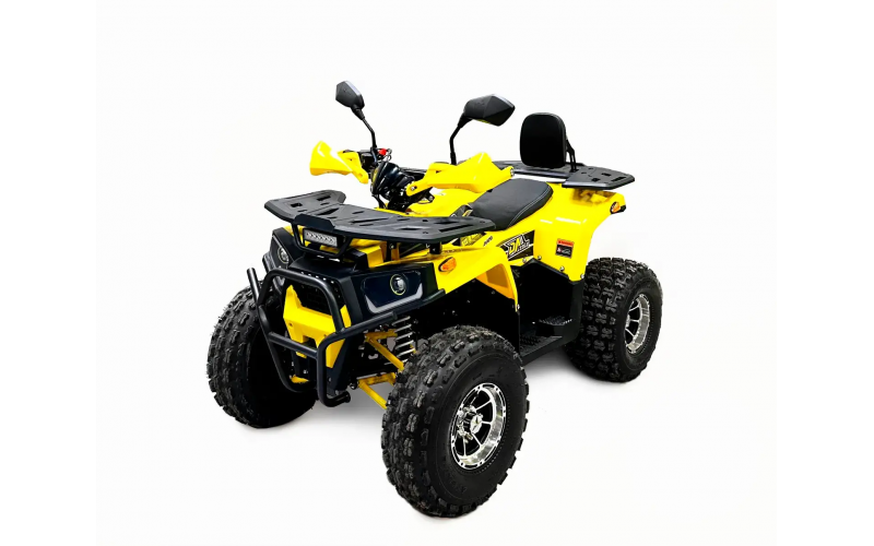 Подростковый квадроцикл BISON Forest 125 LUX