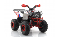 Подростковый квадроцикл GRIZLIK A125