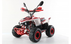 Подростковый квадроцикл MOTAX Mikro 110 NEW