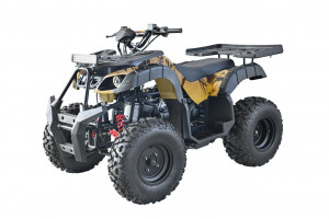 Комплект WELS THUNDER 200 (AX200) HS NEW.