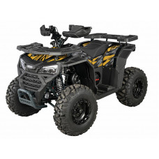 Комплект WELS THUNDER ATV 225 Basic (Dodge). Комплект WELS THUNDER ATV 225 Basic (Dodge).