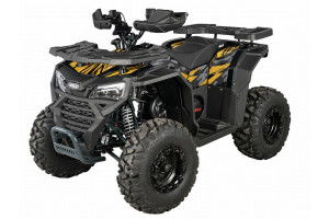 Комплект WELS THUNDER ATV 225 Basic (Dodge).