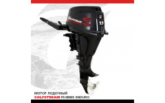 Мотор лодочный GOLFSTREAM F9.9ABMS Enduro