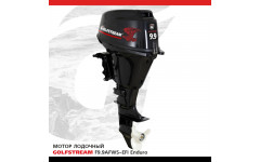 Мотор лодочный GOLFSTREAM F9.9AFWS-EFI Enduro