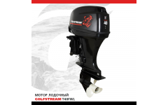 Мотор лодочный GOLFSTREAM T40FWL Мотор лодочный GOLFSTREAM T40FWL