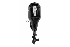 Мотор MARLIN MFI 100 AERTL