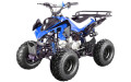 Квадроцикл Xingyue BC-XS110