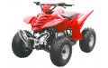 Квадроцикл Xingyue FA-E110