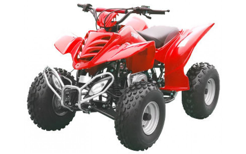 Квадроцикл Xingyue FA-E110