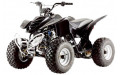 Квадроцикл Xingyue FA-E110
