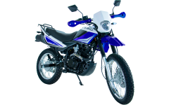 Мотоцикл Racer RC250GY-C2A Panther Синий