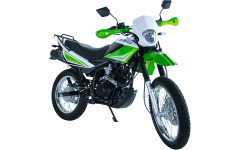 Мотоцикл Racer RC250GY-C2A Panther Зеленый