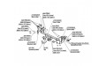 Фаркоп Nissan Juke 4WD 2010-... б/э
