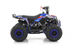 Квадроцикл MOTAX GRIZLIK A110