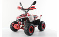 Подростковый квадроцикл MOTAX Mikro 110 NEW