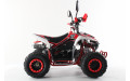 Подростковый квадроцикл MOTAX Mikro 110 NEW