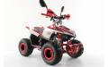 Подростковый квадроцикл MOTAX Mikro 110 NEW