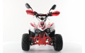 Подростковый квадроцикл MOTAX Mikro 110 NEW