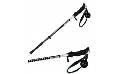 DS1 Carbon DS1 Carbon