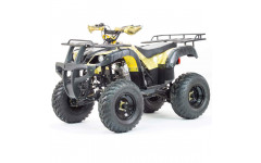 Квадроцикл VOX250 ADVENTURE (Машинокомплект) Квадроцикл VOX250 ADVENTURE (Машинокомплект)