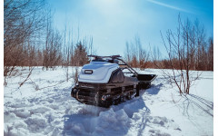 Мотобуксировщик Tinger Dog редуктор ( коробка реверса) EXPORT